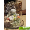 แจกันแก้ว Terrarium ทรงโดมกลางสมัยใหม่